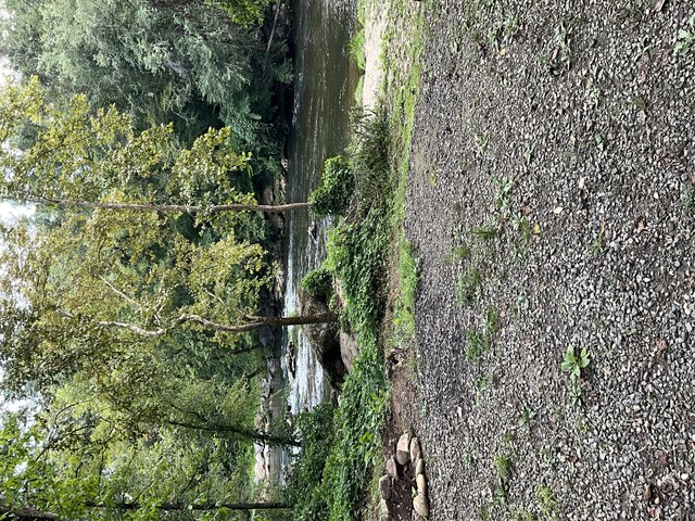 Image 3 for Site 21 - Premium River Front Tent Site