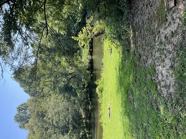 Image 2 for Site 27 - Premium River Front Tent Site