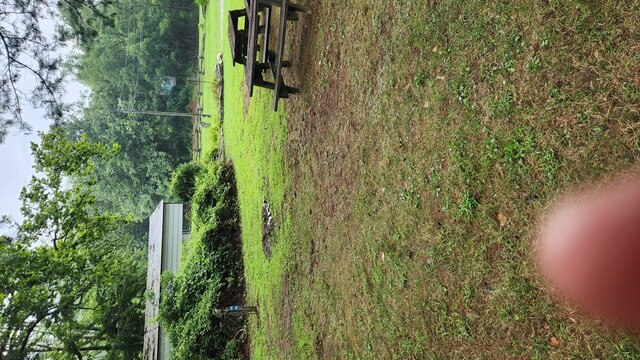 Image 2 for Site 45 - Tent Site - Middle Section