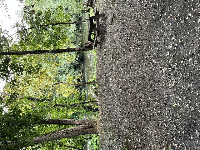 Image 2 for Site 19 - Premium River Front Tent Site