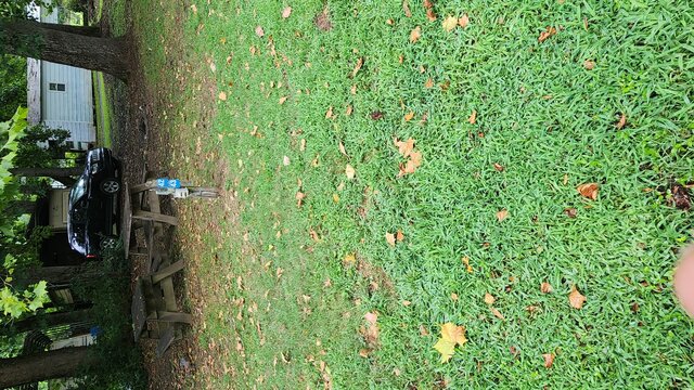 Image 1 for Site 42 - Tent Site - Middle Section