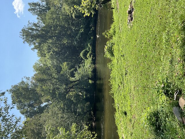 Image 2 for Site 26 - Premium River Front Tent Site