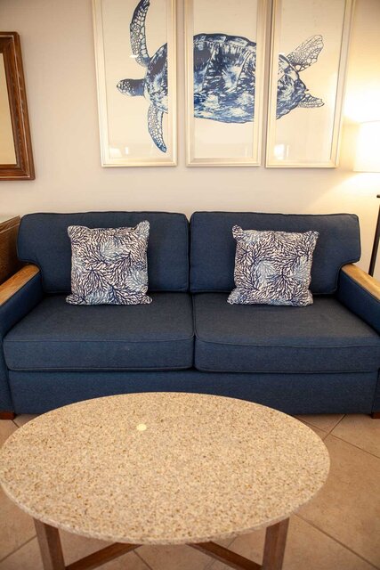 Image 3 for RM 09 Efficiency Poolside King Bed & Queen Sleeper Sofa