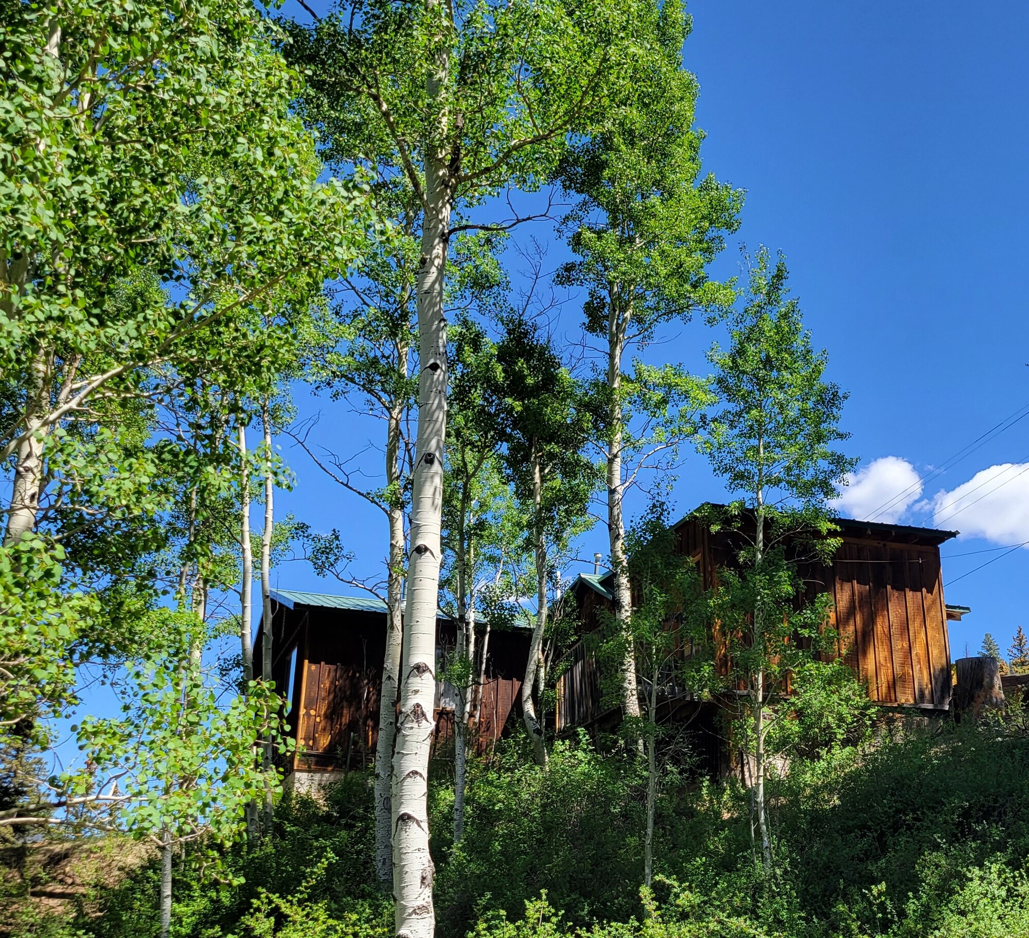 Accommodations | Tall Pine Resort