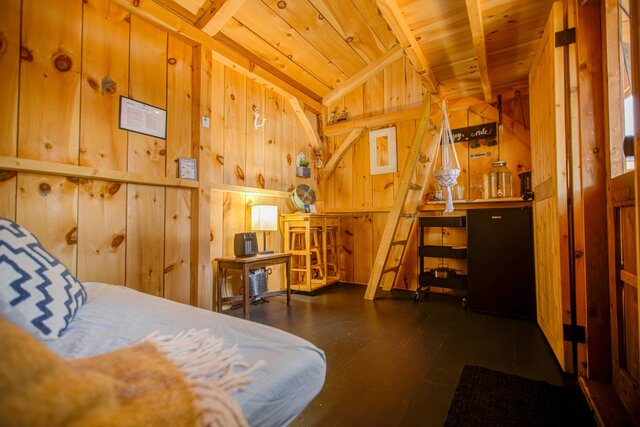 Image 5 for Site #17 | Bunkie | Evergreen