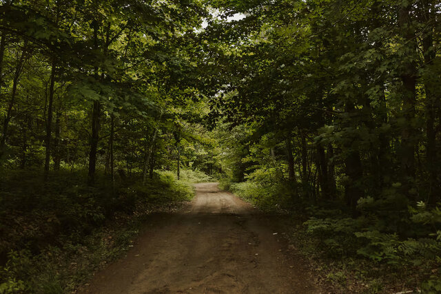Image 20 for Site #17 | Bunkie | Evergreen