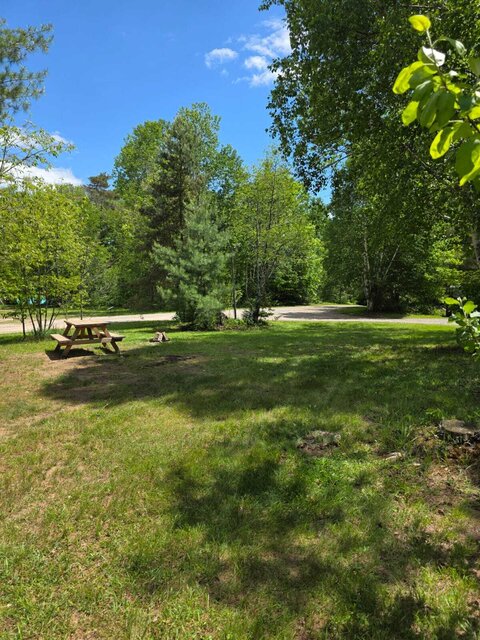 Image 1 for 35) Spacious Serviced Site | Hydro & Water