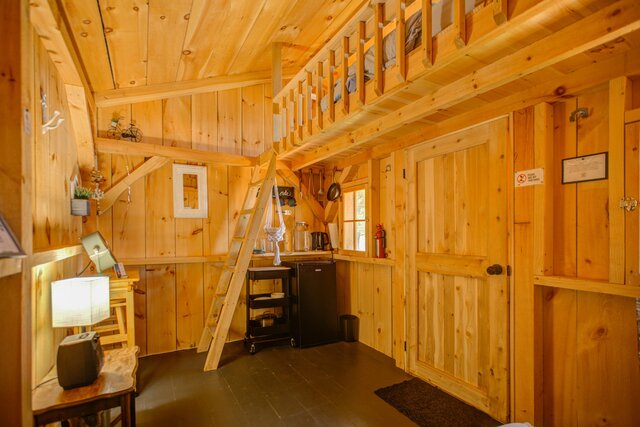 Image 6 for Site #17 | Bunkie | Evergreen