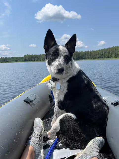 Image 19 for Site #61 | Bunkie | Red Pine