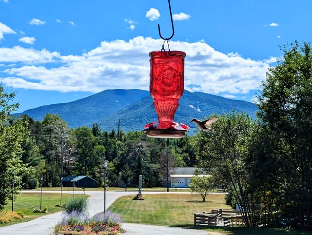 Image 1 for Package Discounts