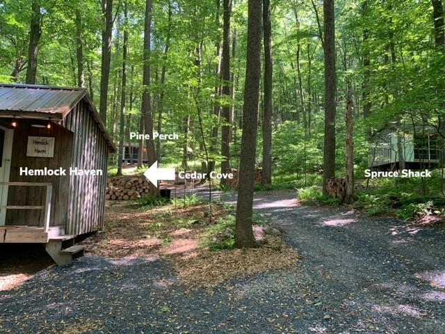 Image 9 for G1 Hemlock Haven (Ages 12 and up)