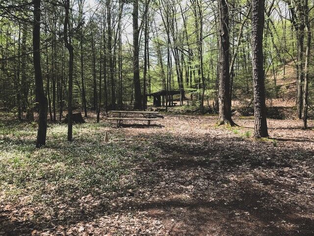 Image 1 for 36) Site 36 (Tent)