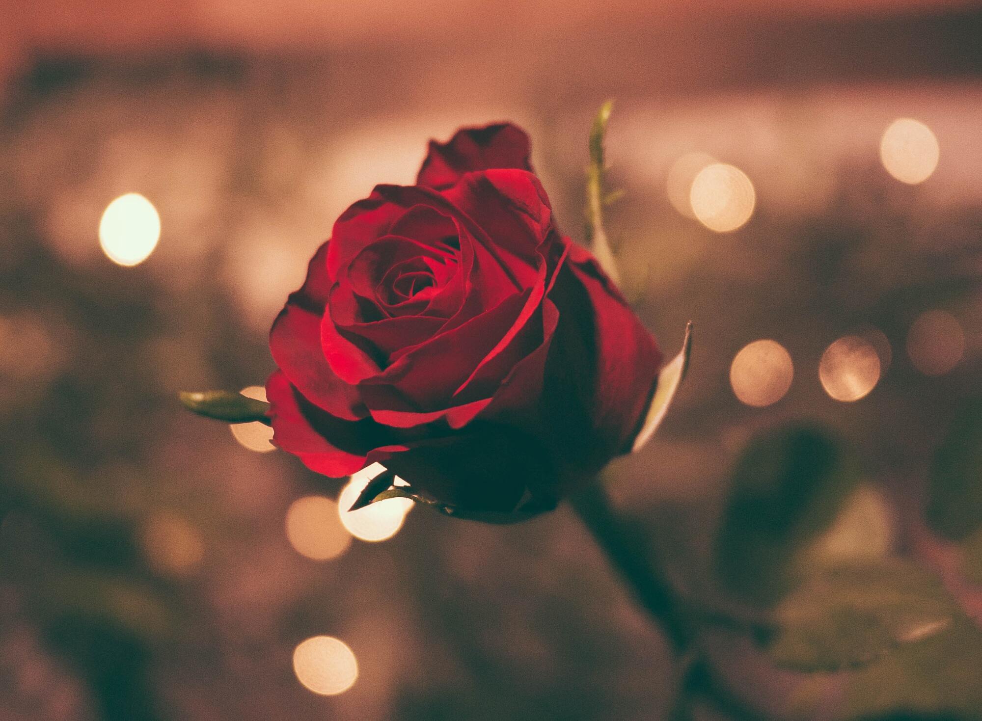Image for Romance Package