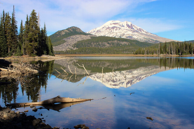 Image 2 for Weekly Special