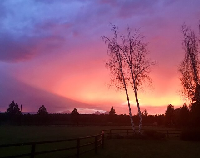 Image 1 for Nov - Dec Special!