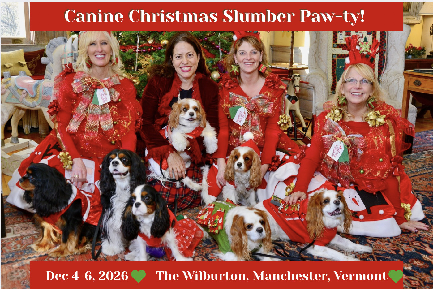 Image for Canine Christmas Slumber Party  2026