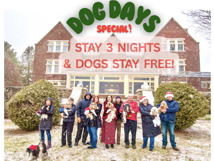 Image for Dog Days Special!