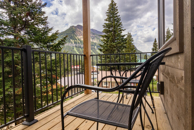 Image 23 for The Cub