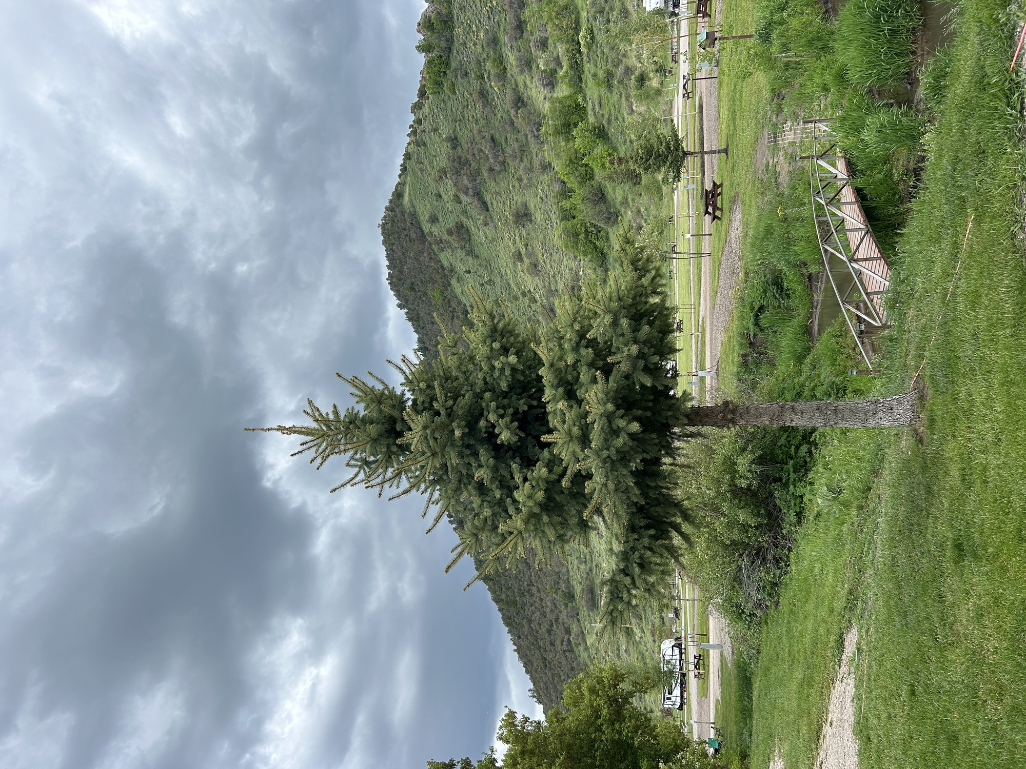 unit image