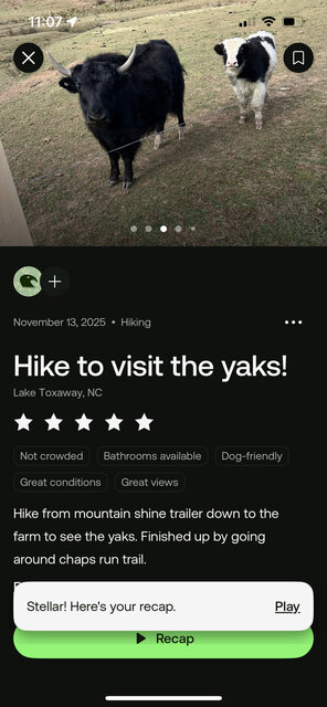 Image 25 for Mountain Shine Camp Trailer