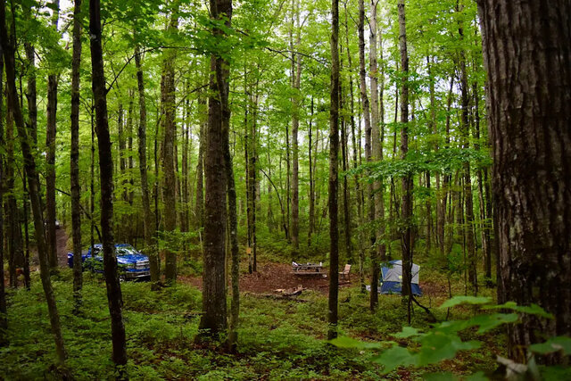 Image 1 for Camping in the Woods