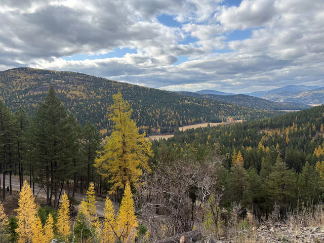 Image 12 for Sunset Mountain View Cabin