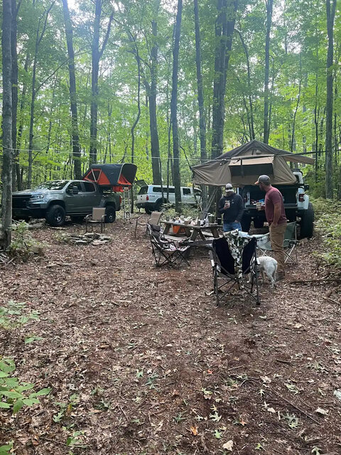 Image 4 for Camping in the Woods