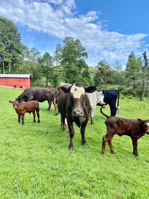 Image 16 for The Farmhouse at Indian Creek