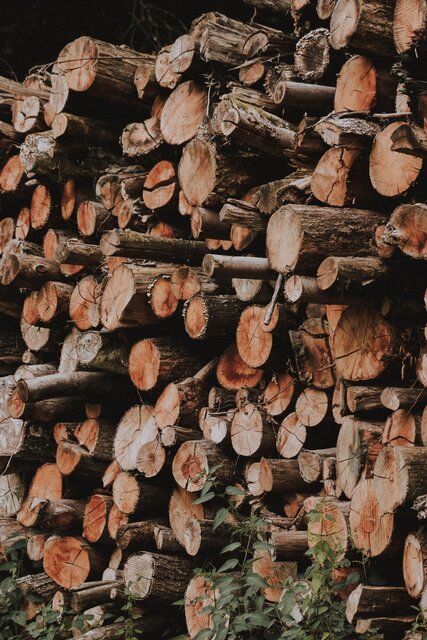 Image 1 for FIREWOOD