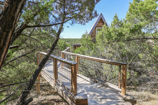 Image 15 for The Hive