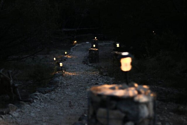 Image 11 for The Birdhouse