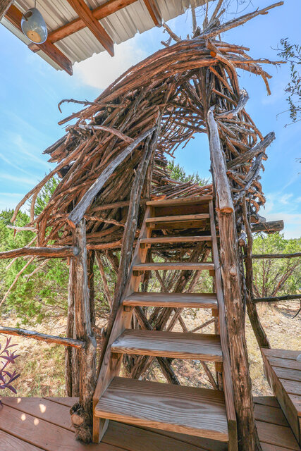 Image 12 for The Nest