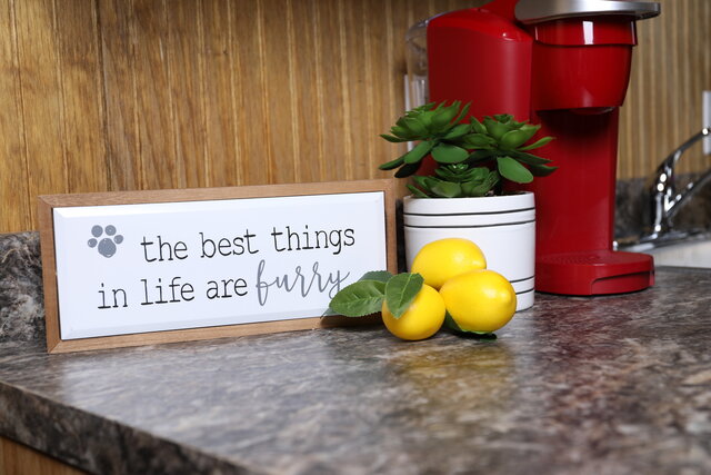 Image 2 for The Texas Star