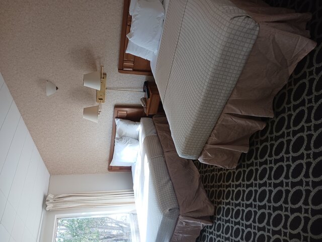 Image 1 for 2 Double Beds-NON PET