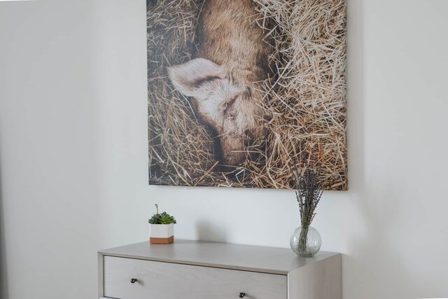 Image 7 for Curly Room