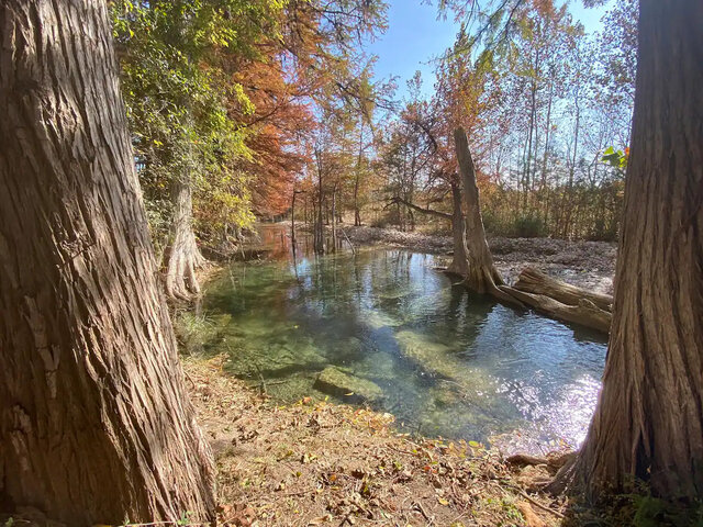 Image 14 for Medina Haus- Medina River Access!!!