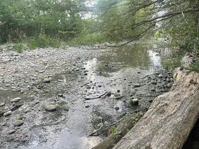 Image 25 for Medina Haus- Medina River Access!!!