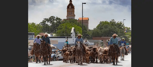 Image 19 for Main St. Homestead- Bandera America!