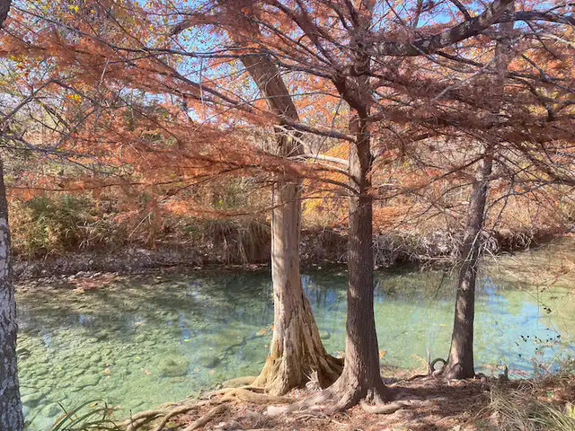 Image 12 for Medina Haus- Medina River Access!!!