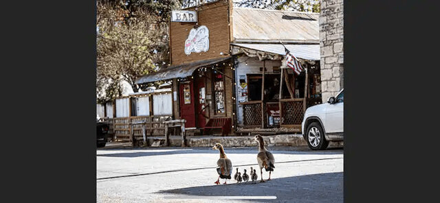 Image 20 for Main St. Homestead- Bandera America!