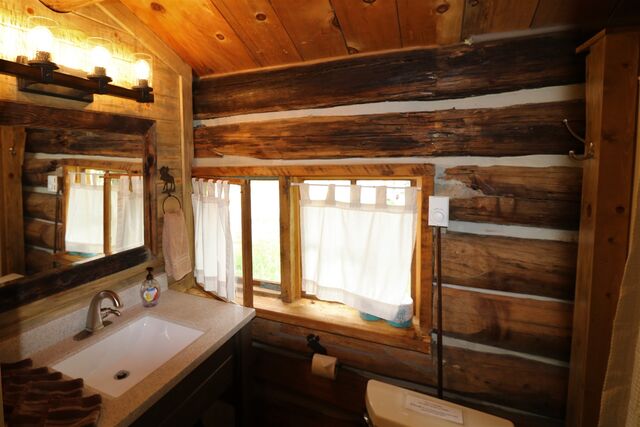 Image 5 for Porcupine