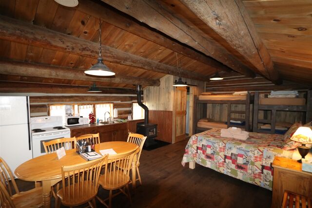 Image 3 for Porcupine