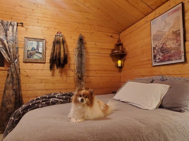 Image 7 for 1 The Polaris