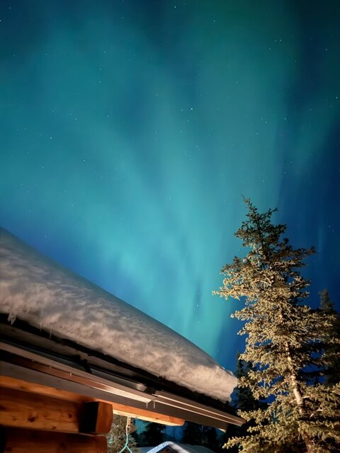 Image 19 for 3 The Aurora