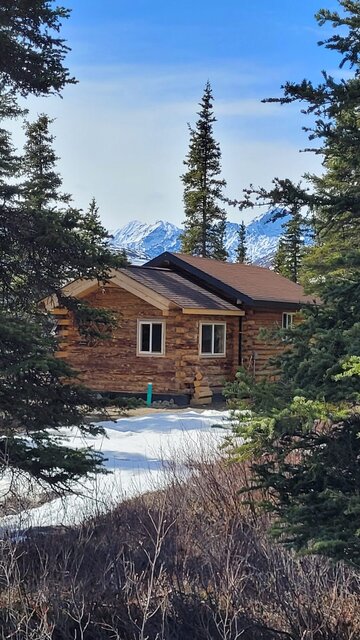 Image 2 for 3 The Aurora