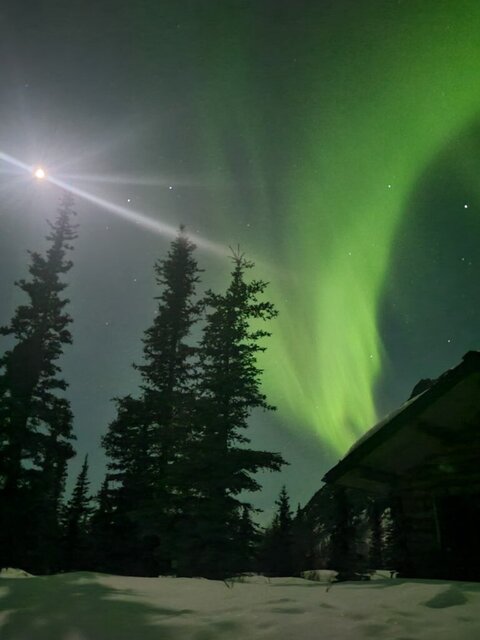 Image 9 for 2 The Blue Moon