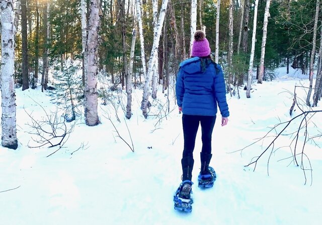 Image 17 for Stargazer Geodome