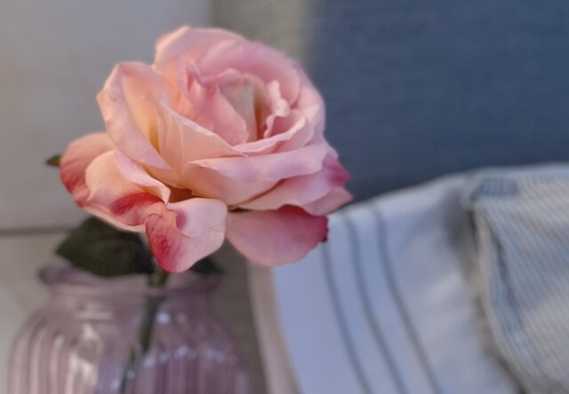 Image 12 for The Lodge