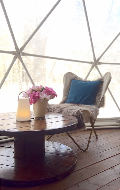 Image 9 for Stargazer Geodome