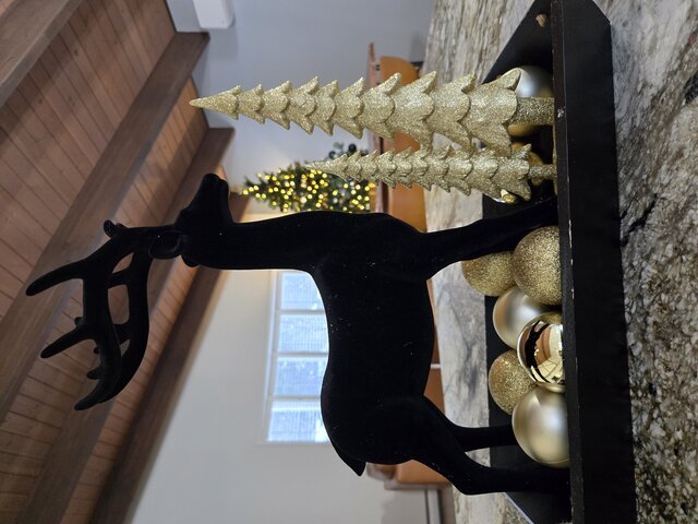 Image 1 for Mid-Century Modern with a "Star Wars" Twist